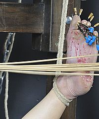 Meis Japanese Foot Torture